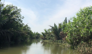 Mekong Delta Bike Tour Saigon
