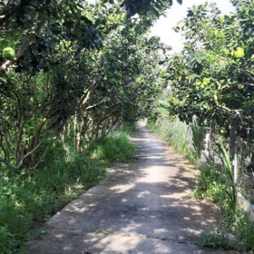 Mekong Delta Cycling Tour Ho Chi Minh